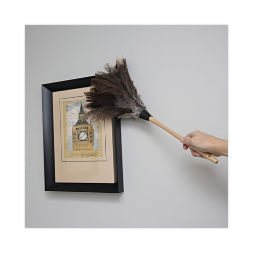 Picture of Professional Ostrich Feather Duster, 13" Handle