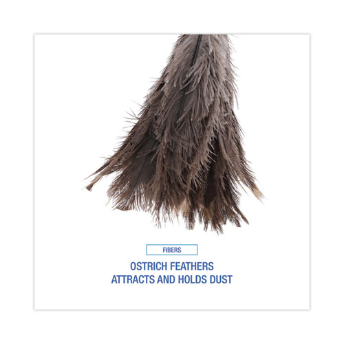 Picture of Professional Ostrich Feather Duster, 16" Wood Handle, 12" Gray Bristle