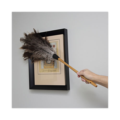 Picture of Professional Ostrich Feather Duster, 16" Wood Handle, 12" Gray Bristle