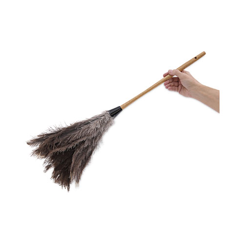 Picture of Professional Ostrich Feather Duster, 16" Wood Handle, 12" Gray Bristle