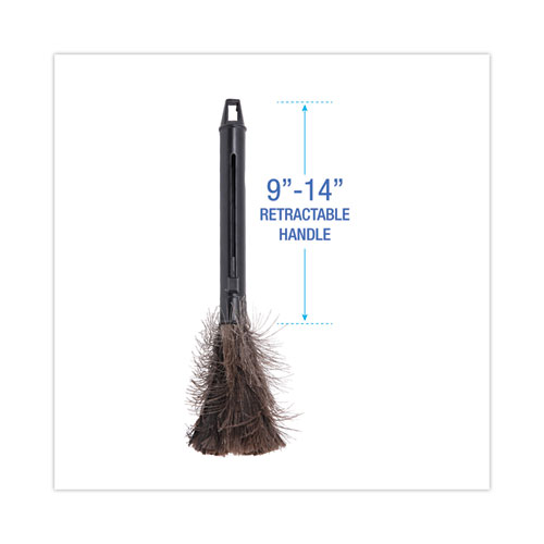 Picture of Ostrich Feather Duster, 9" to 14" Retractable Plastic Handle