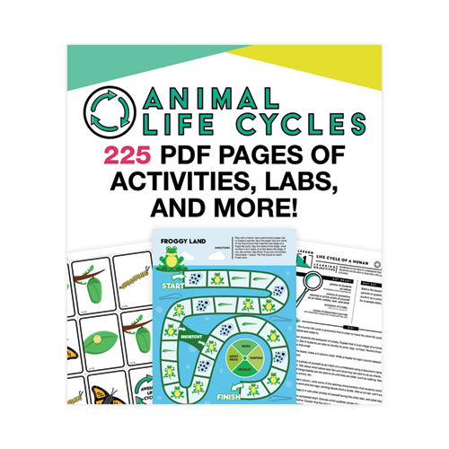 Picture of In a Flash USB, Animal Lifestyles, Ages 5-8, 225 Pages