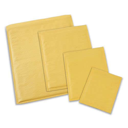 Picture of Peel Seal Strip Cushioned Mailer, #4, Extension Flap, Self-Adhesive Closure, 9.5 x 14.5, 25/Carton