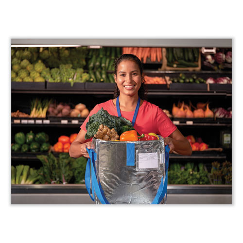 Picture of Fresh Eco Freeze Tote, (2) Blue Nylon Shoulder Straps, (2) Blue Nylon Strap Handles, 13.5" x 9" x 13", Silver/Blue, 4/Carton