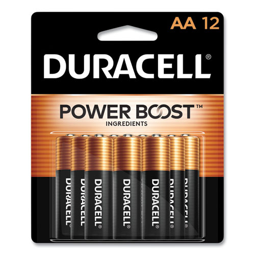 Picture of Power Boost CopperTop Alkaline AA Batteries, 12/Pack