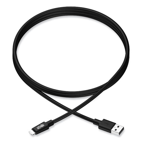 Picture of Apple Lightning to USB Cable, 10 ft, Black
