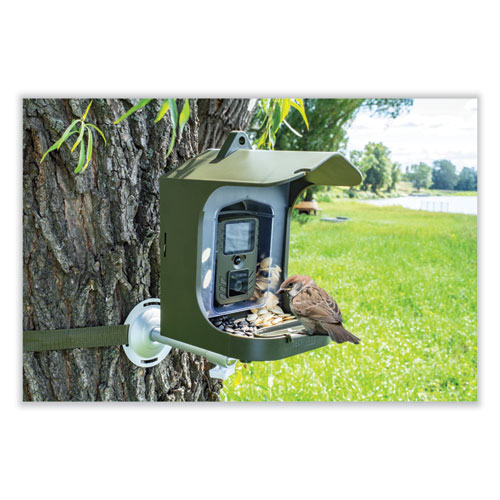 Picture of Full HD Birdcam TX-165, 8 Mpixels, Black/Green