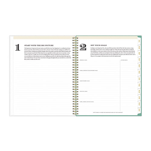 Picture of Day Designer Academic Year Weekly/Monthly Frosted Planner, Palms Artwork, 11 x 8.5, 12-Month (July to June): 2024 to 2025