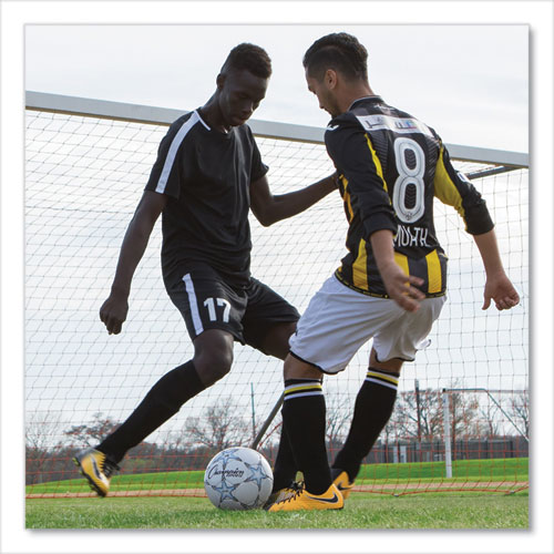 Picture of VIPER Soccer Ball, No. 5. Size, 8.5" to 9" Diameter, White