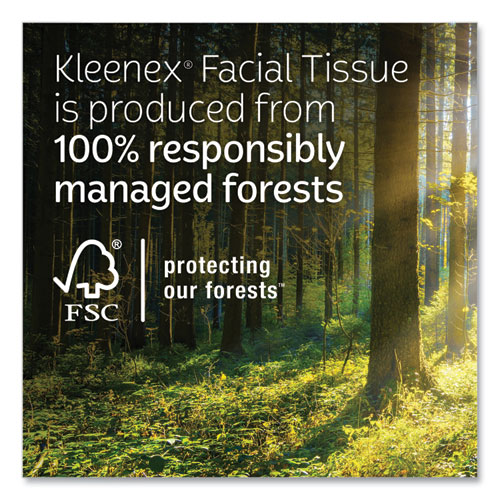 Picture of Ultra Soft Facial Tissue, 3-Ply, White, 60 Sheets/Box, 4 Boxes/Pack, 12 Packs/Carton