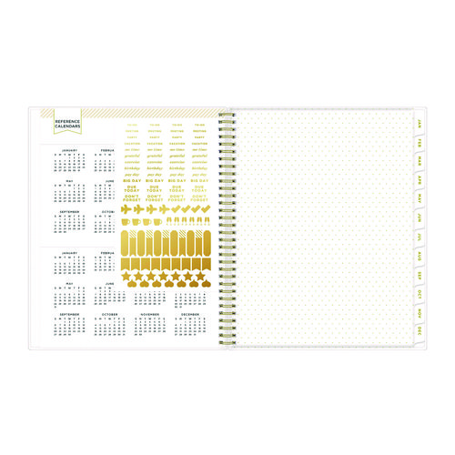 Picture of Day Designer Secret Garden Mint Frosted Weekly/Monthly Planner, Floral Artwork, 11 x 8.5, 12-Month (Jan to Dec): 2025