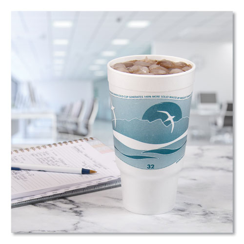 Picture of Horizon Hot/Cold Foam Drinking Cups, 32 oz, White/Teal, 16/Bag, 25 Bags/Carton