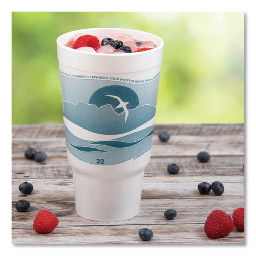 Picture of Horizon Hot/Cold Foam Drinking Cups, 32 oz, White/Teal, 16/Bag, 25 Bags/Carton