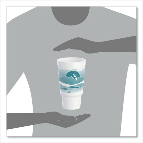 Picture of Horizon Hot/Cold Foam Drinking Cups, 32 oz, White/Teal, 16/Bag, 25 Bags/Carton