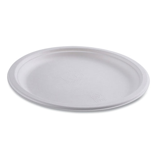 Picture of Vanguard Renewable and Compostable Sugarcane Plates, 10" dia, White, 500/Carton