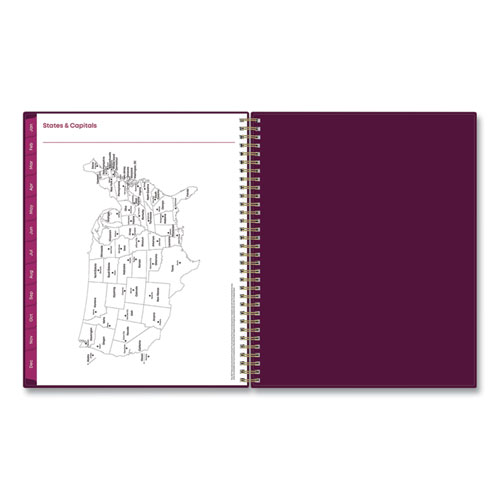 Picture of Gili Weekly/Monthly Planner, Jewel Tone Artwork, 11 x 8.5, Plum Cover, 12-Month (Jan to Dec): 2025