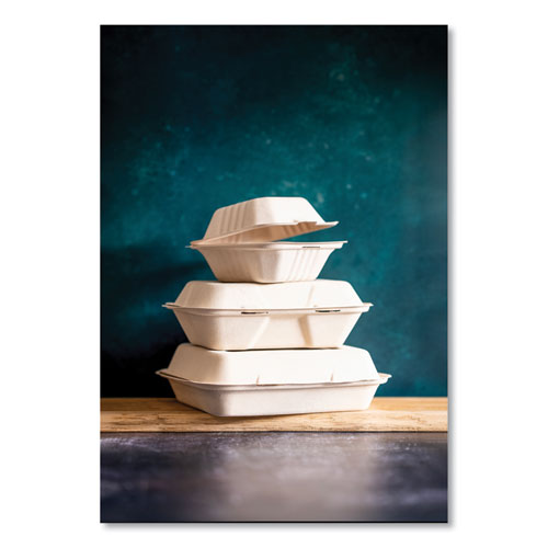 Picture of White Molded Fiber Clamshell Containers, Compostable, 9 x 9 x 3, White, Sugarcane, 200/Carton