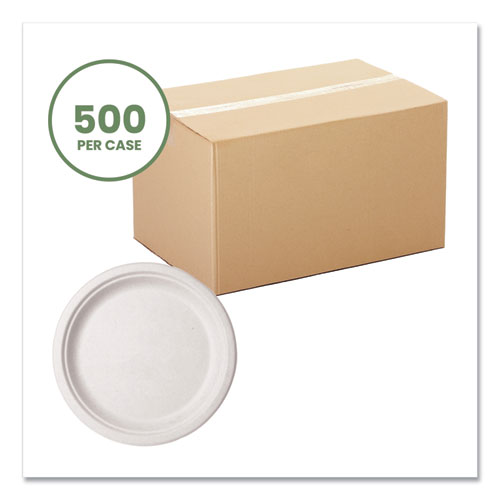 Picture of Molded Fiber Tableware, Compostable, Plate, 10" dia, White, 500/Carton