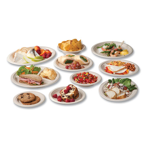 Picture of Molded Fiber Tableware, Compostable, Plate, 6" dia, White, 1,000/Carton