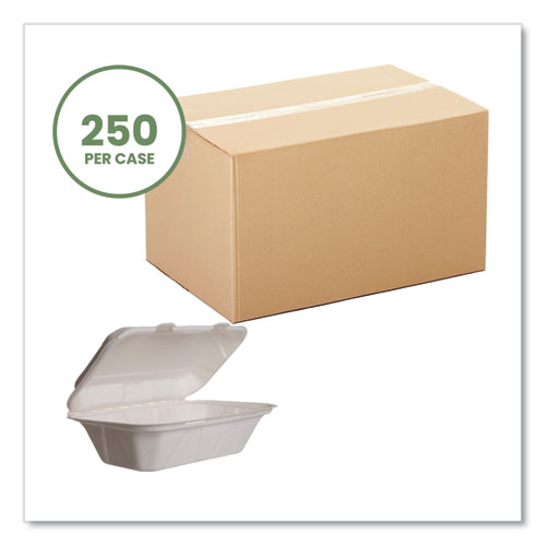 Picture of White Molded Fiber Clamshell Containers, Compostable, 9 x 11 x 2, White, Sugarcane, 250/Carton