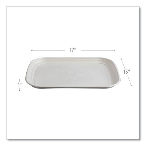 Picture of Regalia Renewable Sugarcane Tray, 13 x 17 x 1.3, White, 100/Carton