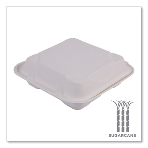 Picture of Molded Fiber Hinged Clamshell Containers, 3 Compartments, 9 x 9 x 3, White, Sugarcane, 50/Pack, 4 Packs/Carton