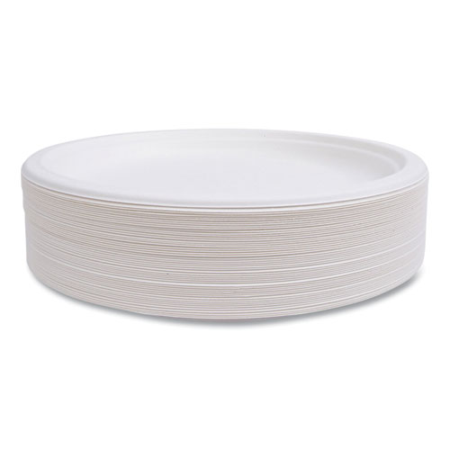 Picture of Vanguard Renewable and Compostable Sugarcane Plates, 10" dia, White, 500/Carton