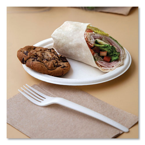 Picture of Vanguard Renewable and Compostable Sugarcane Plates, 10" dia, White, 500/Carton