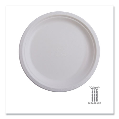 Picture of Vanguard Renewable and Compostable Sugarcane Plates, 6" dia, White, 1,000/Carton