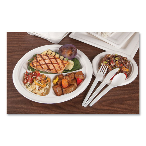 Picture of Vanguard Renewable and Compostable Sugarcane Plates, 6" dia, White, 1,000/Carton