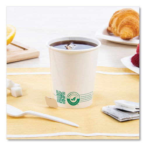 Picture of Compostable Paper Hot Cups, 10 oz, White/Green, 1,000/Carton